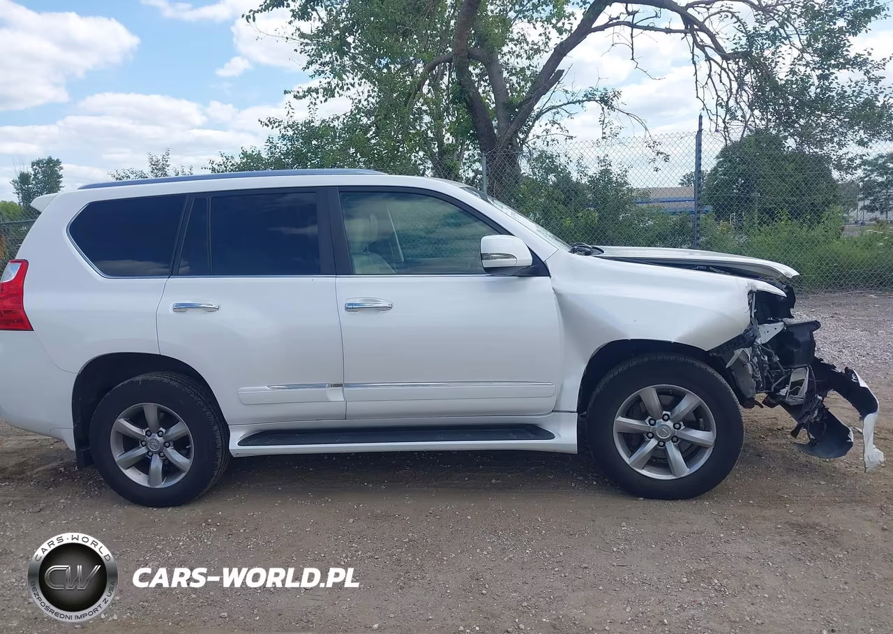 2013 Lexus Gx 460 Premium VIN:JTJJM7FX5D5059346 - 13