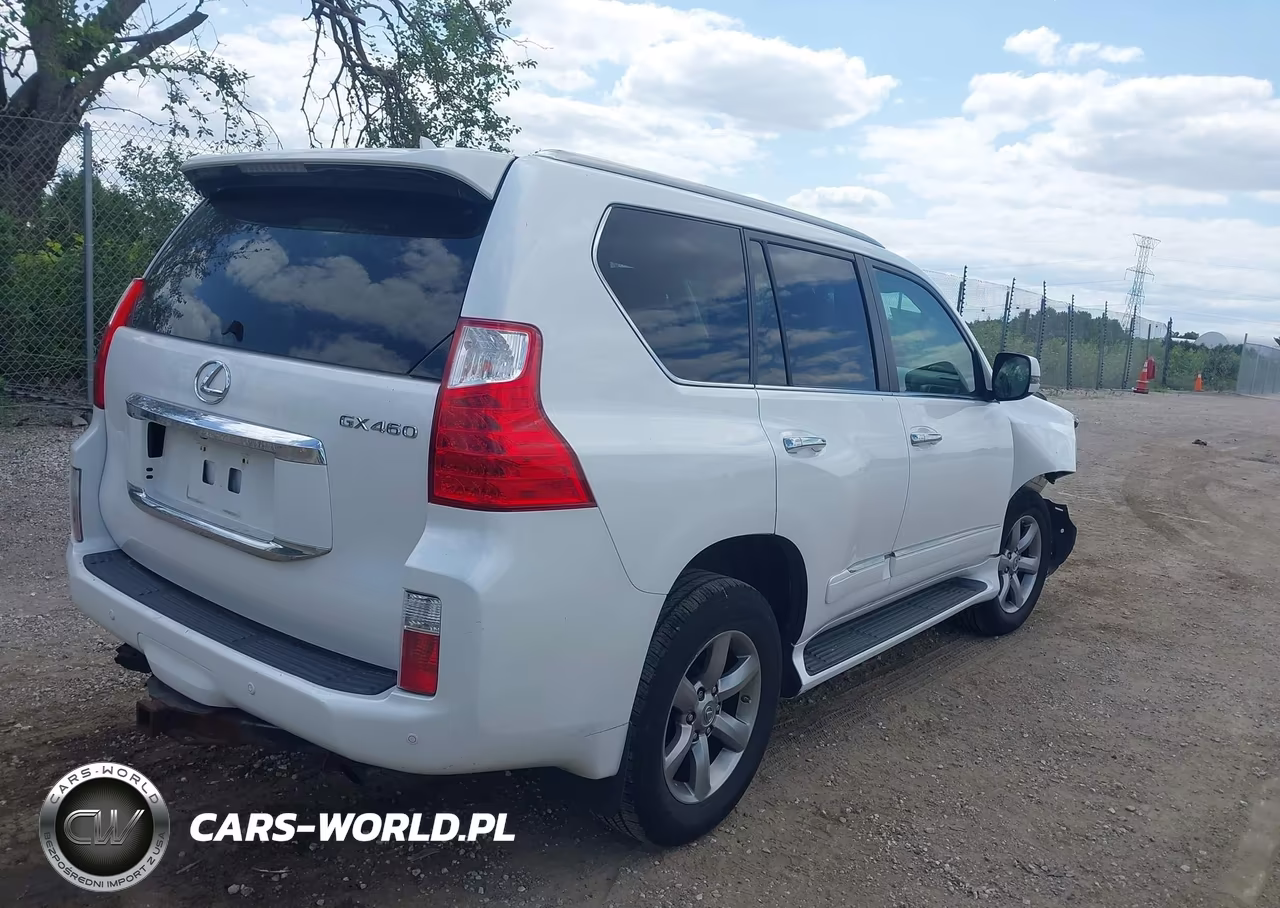 2013 Lexus Gx 460 Premium VIN:JTJJM7FX5D5059346 - 4