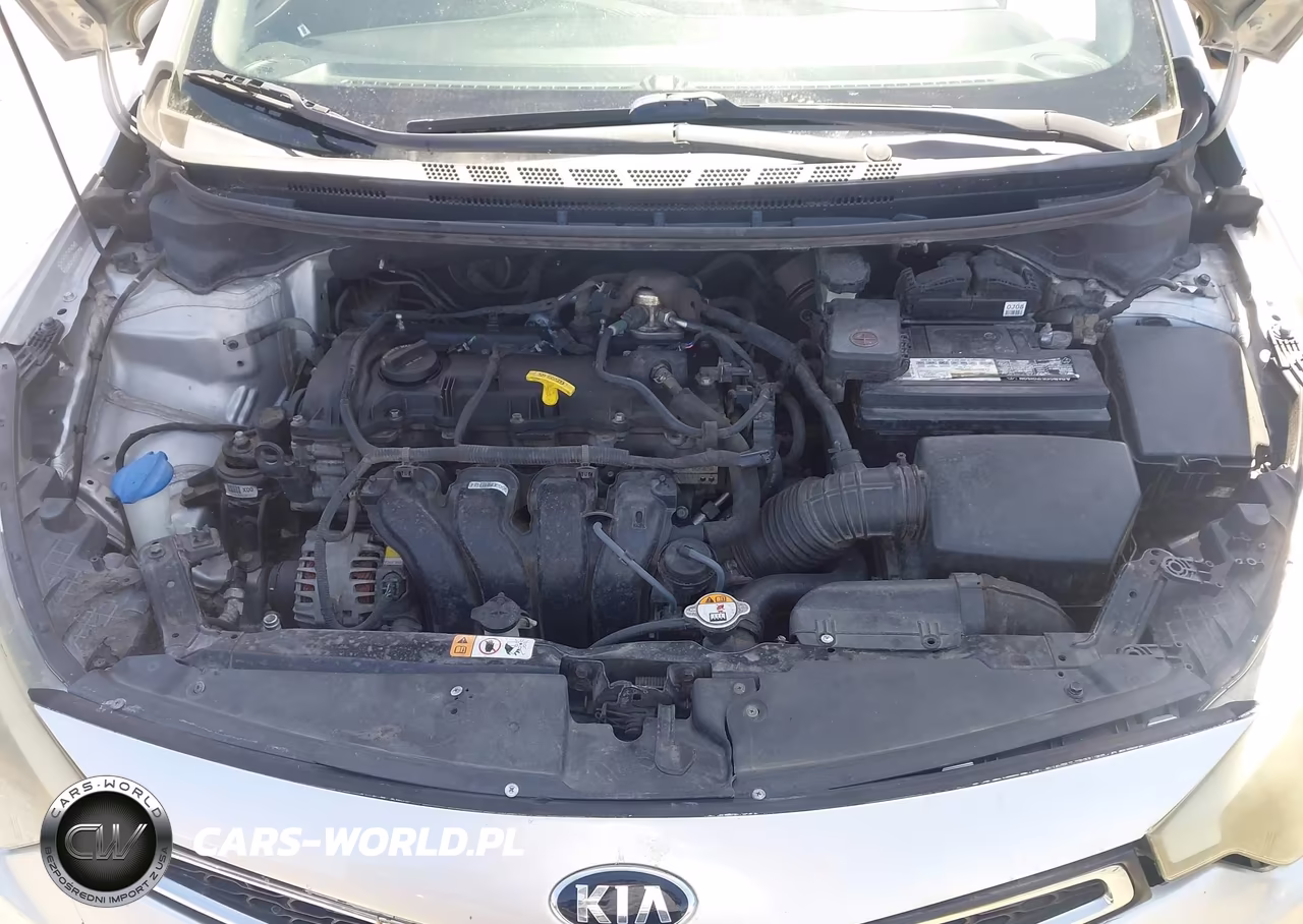 2014 Kia Forte Koup Ex VIN:KNAFX6A83E5223511 - 10