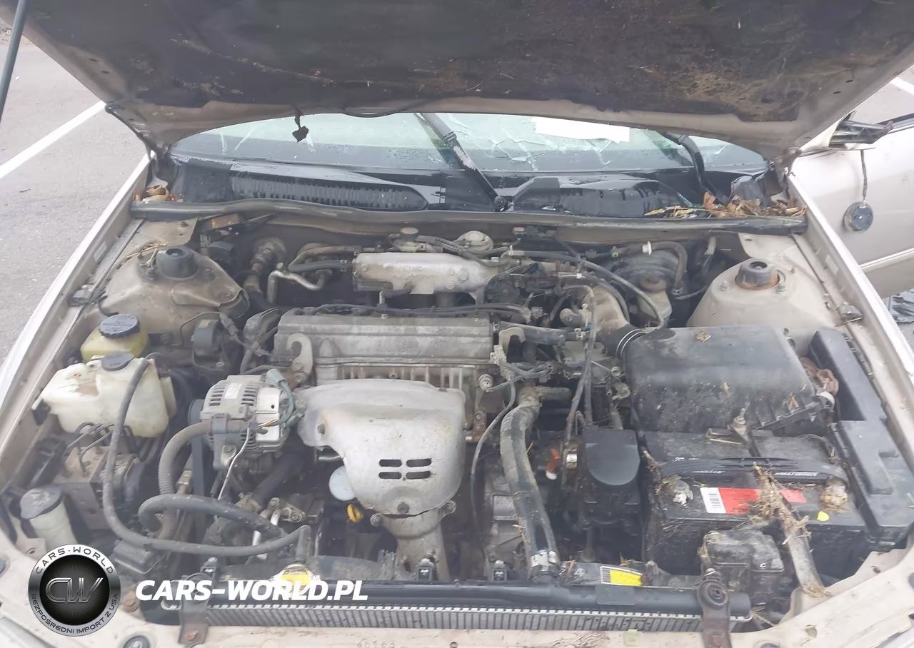 1999 Toyota Camry Le VIN:4T1BG22K0XU584056 - 10