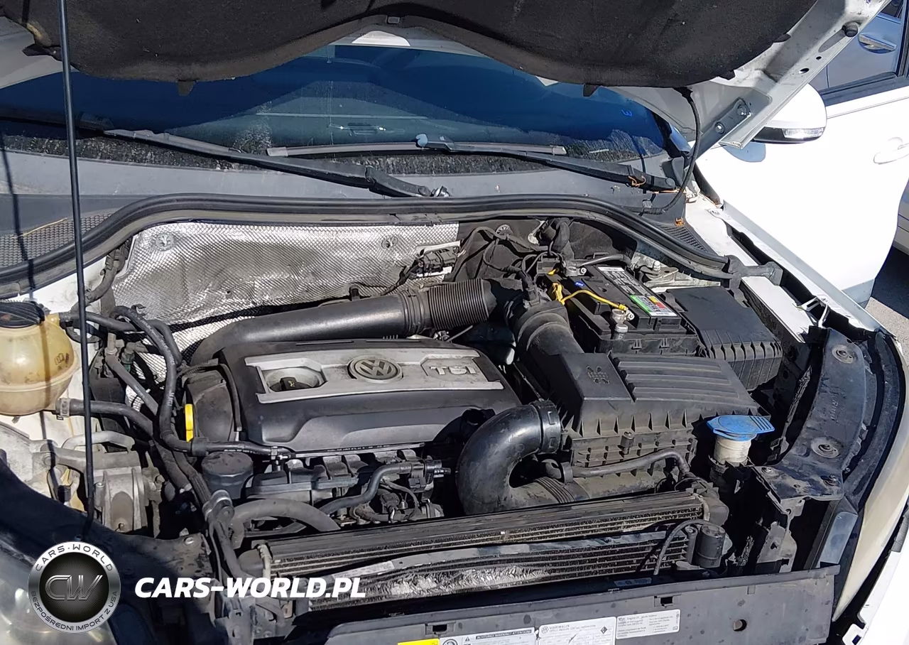 2014 Volkswagen Tiguan S VIN:WVGAV3AX8EW530784 - 10