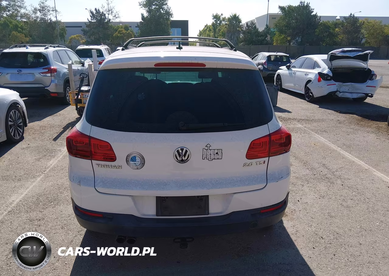 2014 Volkswagen Tiguan S VIN:WVGAV3AX8EW530784 - 17