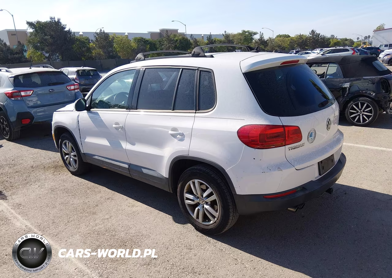 2014 Volkswagen Tiguan S VIN:WVGAV3AX8EW530784 - 3