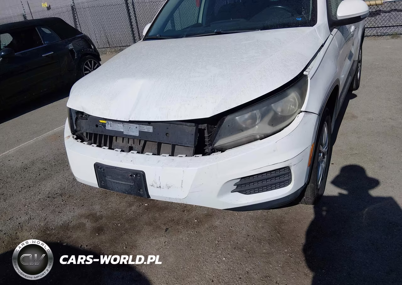 2014 Volkswagen Tiguan S VIN:WVGAV3AX8EW530784 - 6