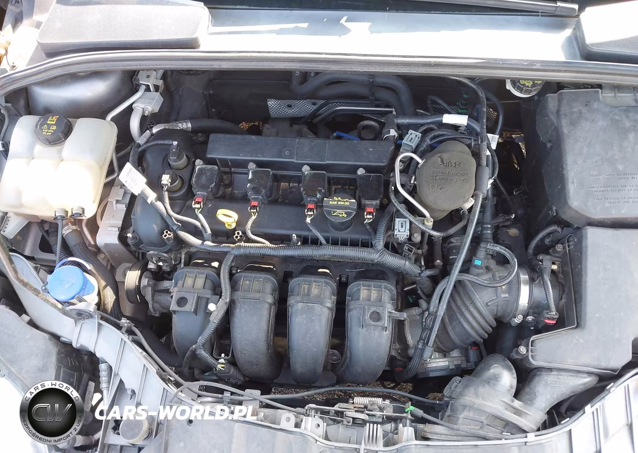 2013 Ford Focus Se VIN:1FADP3F21DL348732 - 10