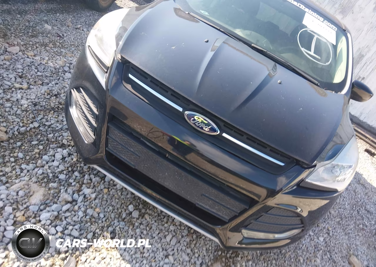 2014 Ford Escape Se VIN:1FMCU0GX0EUC04667 - 12