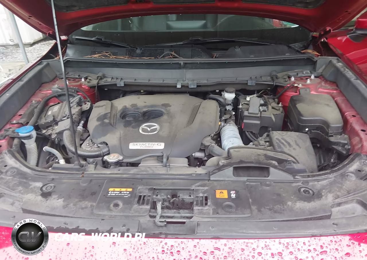 2022 Mazda Cx-9 Touring VIN:JM3TCBCY0N0606804 - 10