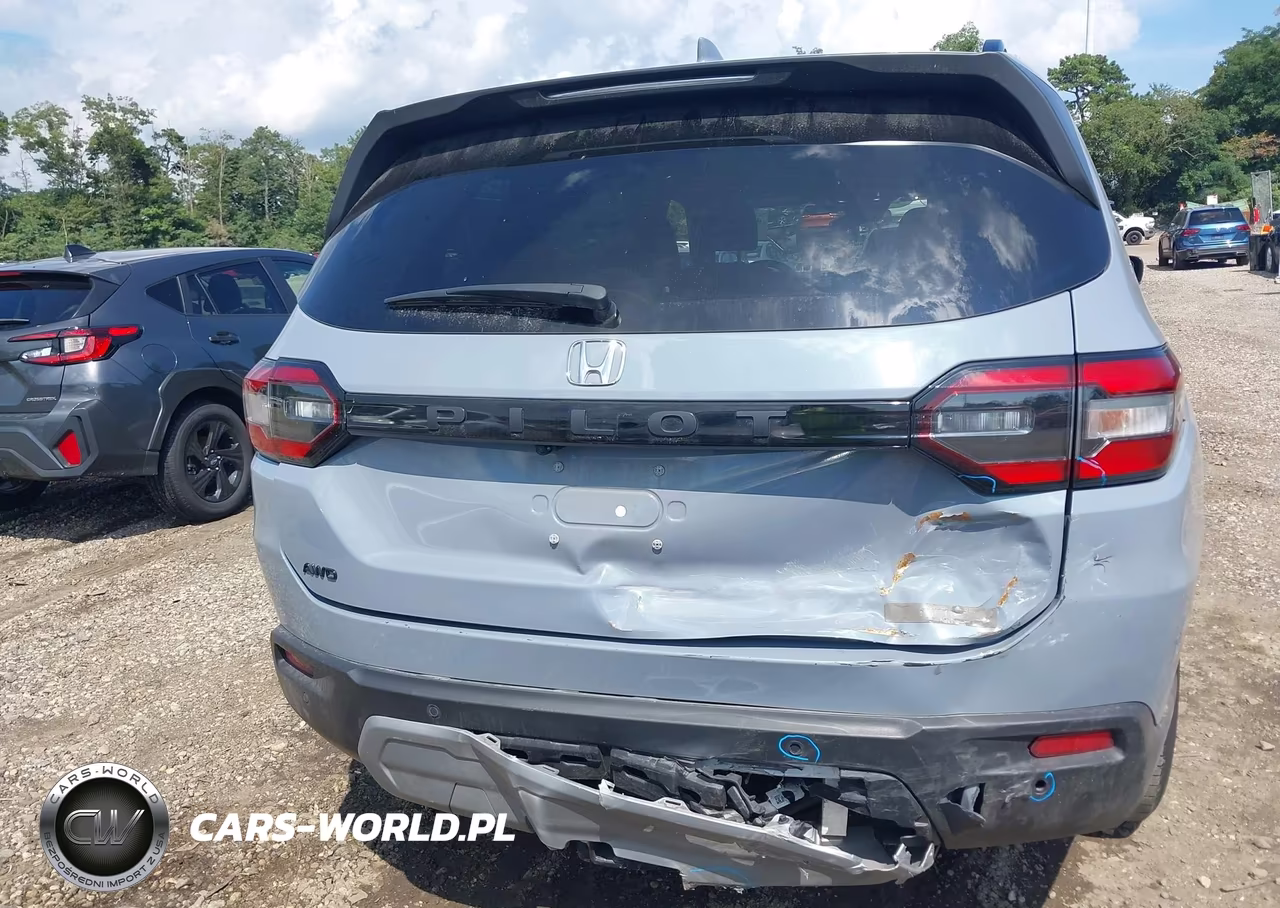 2025 Honda Pilot Trailsport VIN:5FNYG1H6XSB042211 - 6