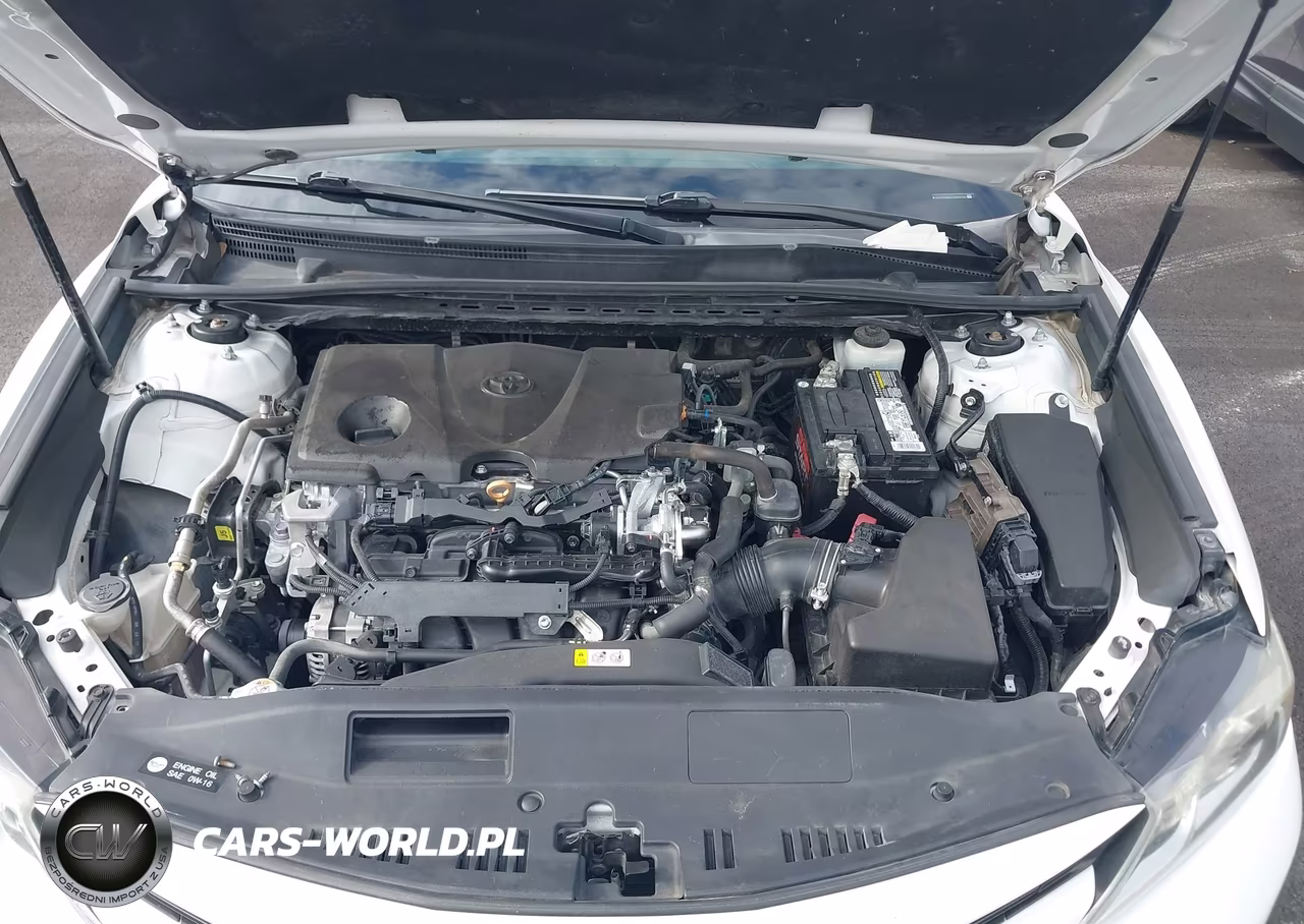2020 Toyota Camry Le VIN:4T1C11AK3LU889384 - 10