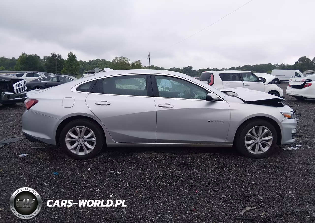 2020 Chevrolet Malibu Fwd Lt VIN:1G1ZD5ST2LF091394 - 13