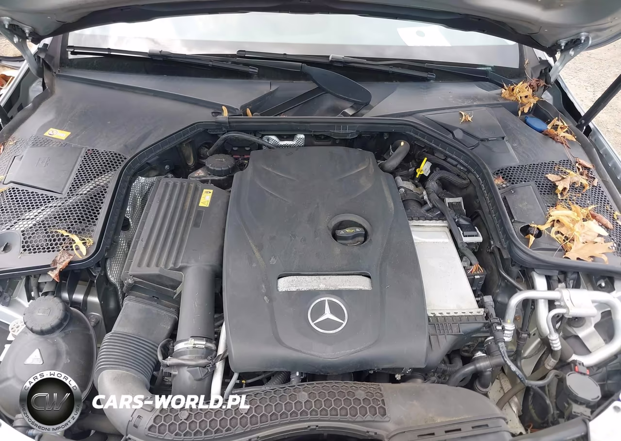 2016 Mercedes-Benz C 300 4Matic VIN:55SWF4KB5GU147584 - 10