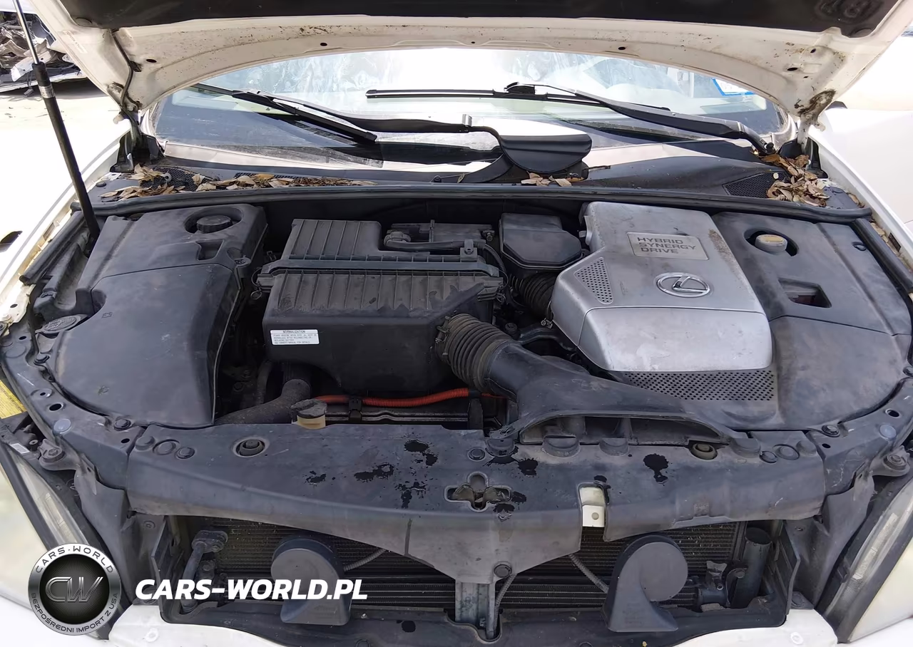2006 Lexus Rx 400H VIN:JTJGW31U160004063 - 10