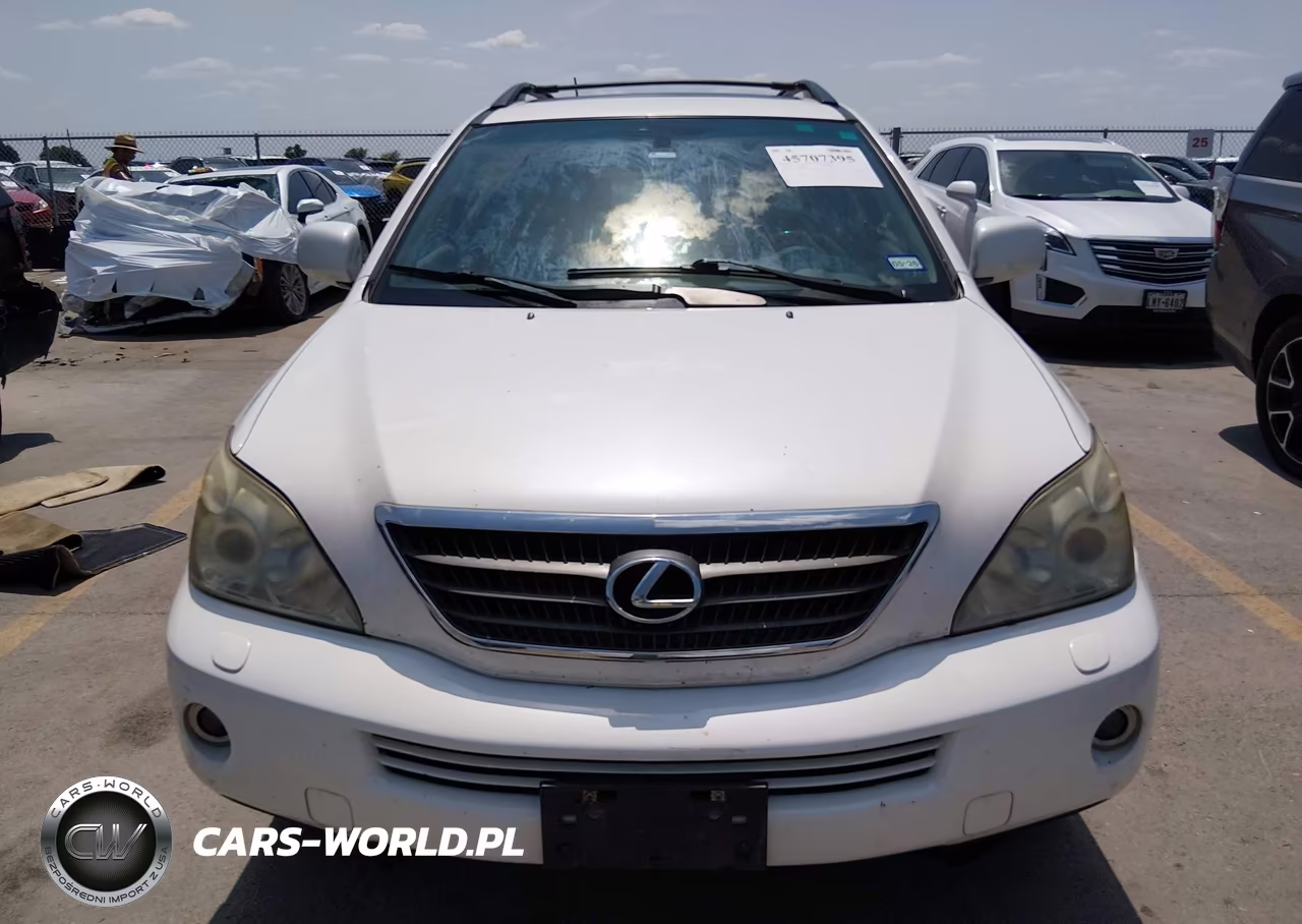 2006 Lexus Rx 400H VIN:JTJGW31U160004063 - 6