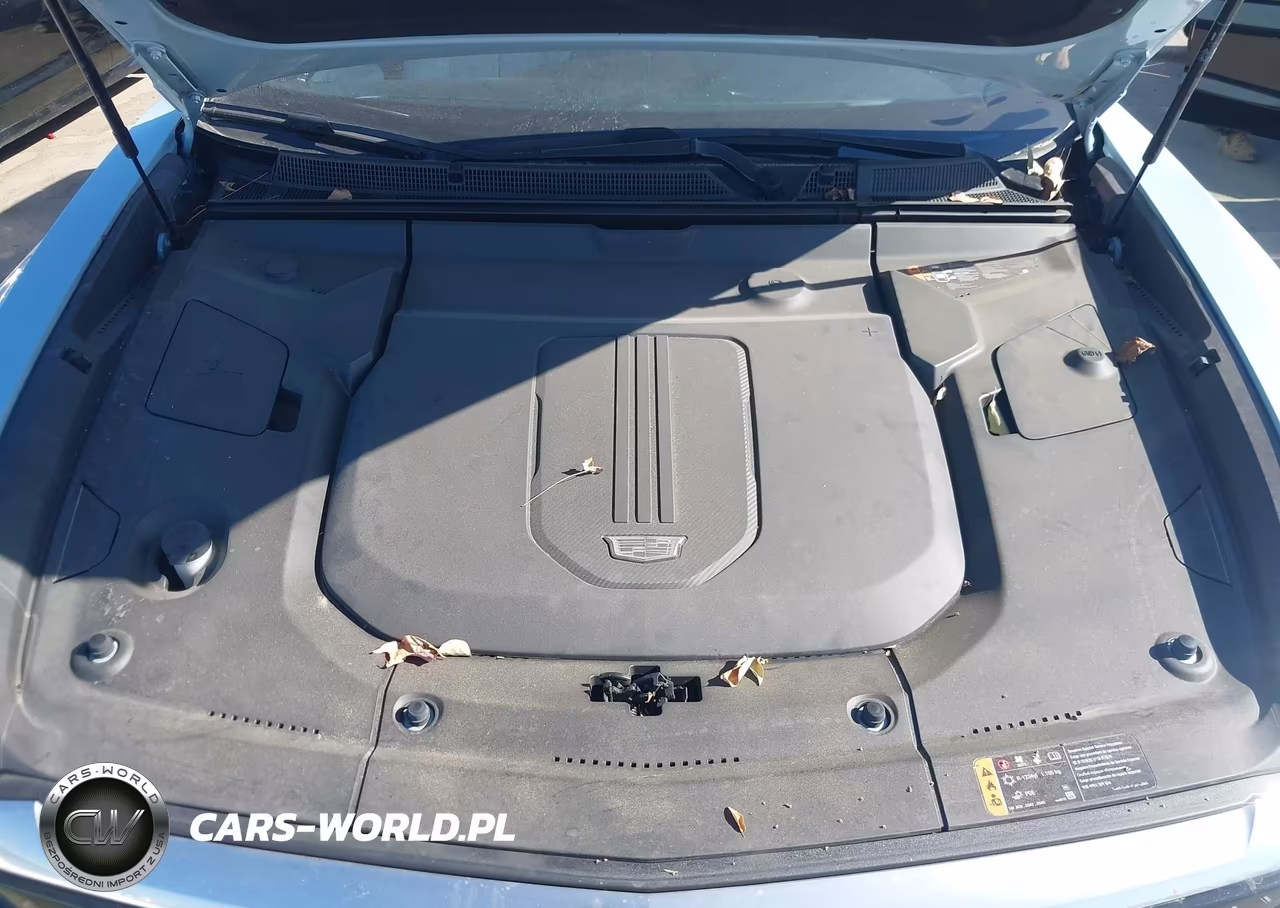 2024 Cadillac Lyriq Luxury W-1Sc VIN:1GYKPPRK6RZ114976 - 10