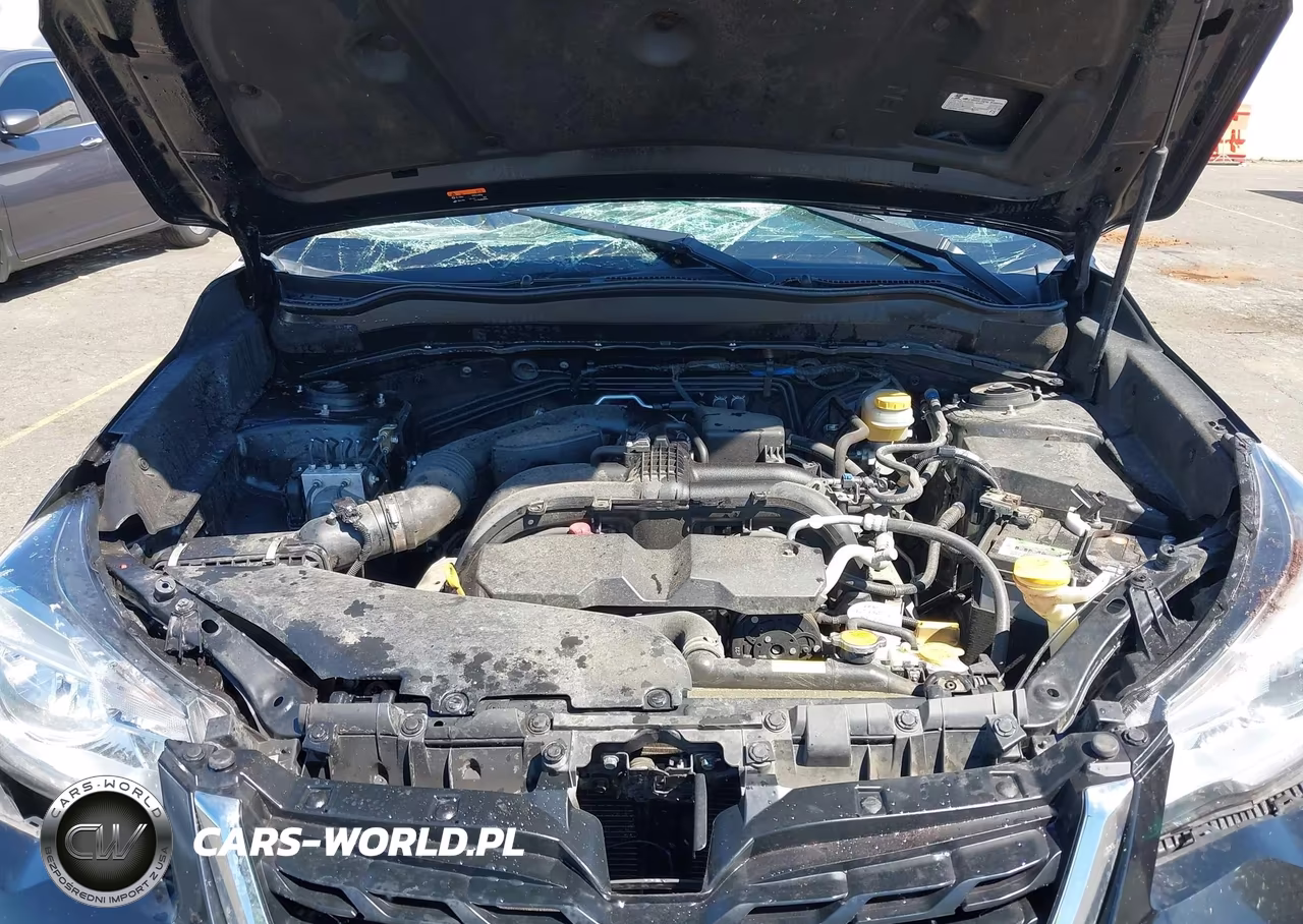 2018 Subaru Forester 2.5I VIN:JF2SJABC6JH567546 - 10