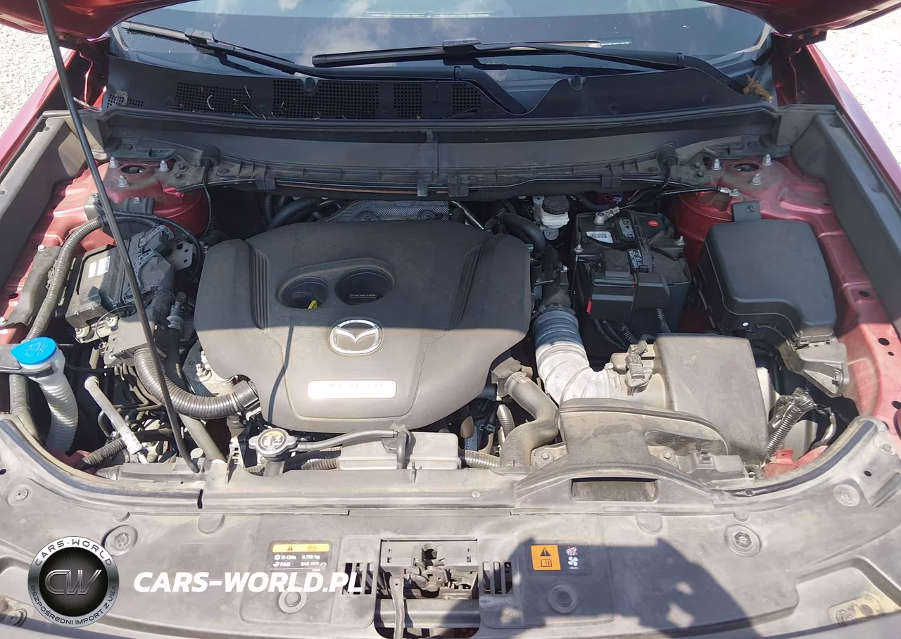2016 Mazda Cx-9 Touring VIN:JM3TCBCY0G0119170 - 10
