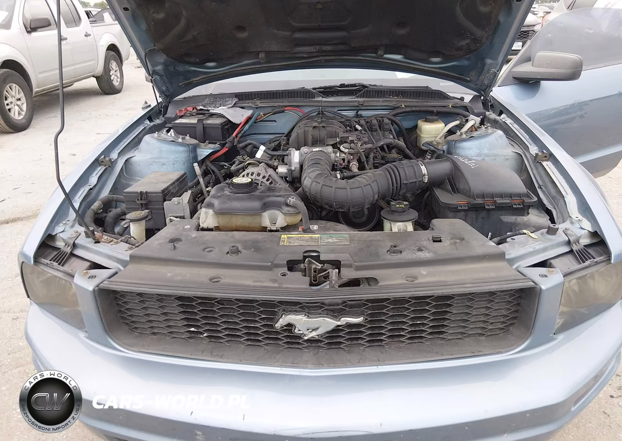 2006 Ford Mustang V6 VIN:1ZVFT80NX65256327 - 10