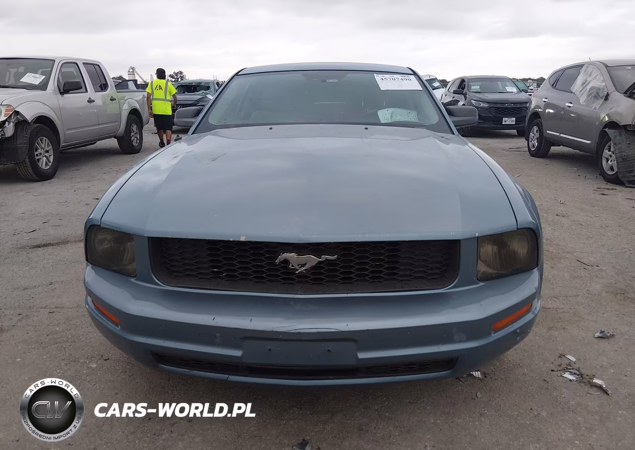 2006 Ford Mustang V6 VIN:1ZVFT80NX65256327 - 11