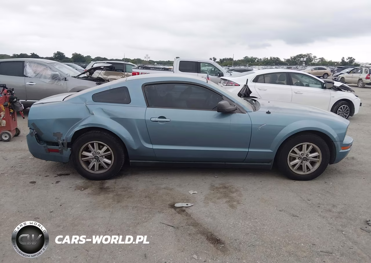 2006 Ford Mustang V6 VIN:1ZVFT80NX65256327 - 12