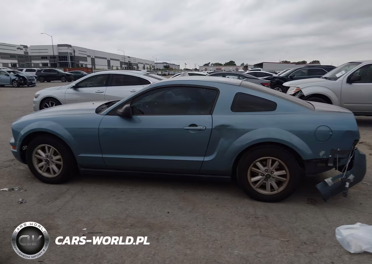 2006 Ford Mustang V6 VIN:1ZVFT80NX65256327 - 13
