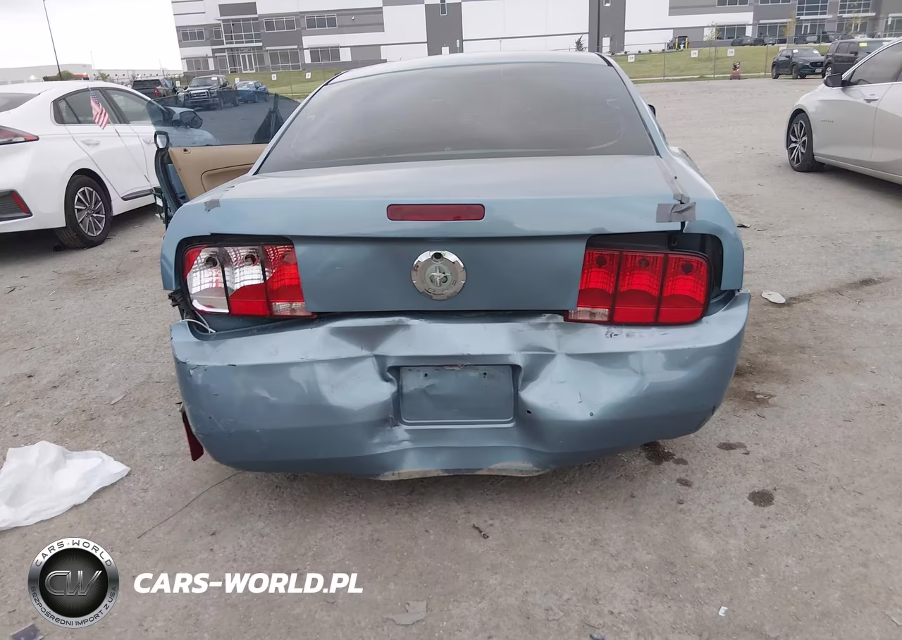 2006 Ford Mustang V6 VIN:1ZVFT80NX65256327 - 6