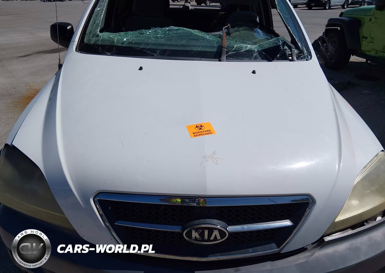 2006 Kia Sorento Ex-Lx VIN:KNDJD733265539786 - 10