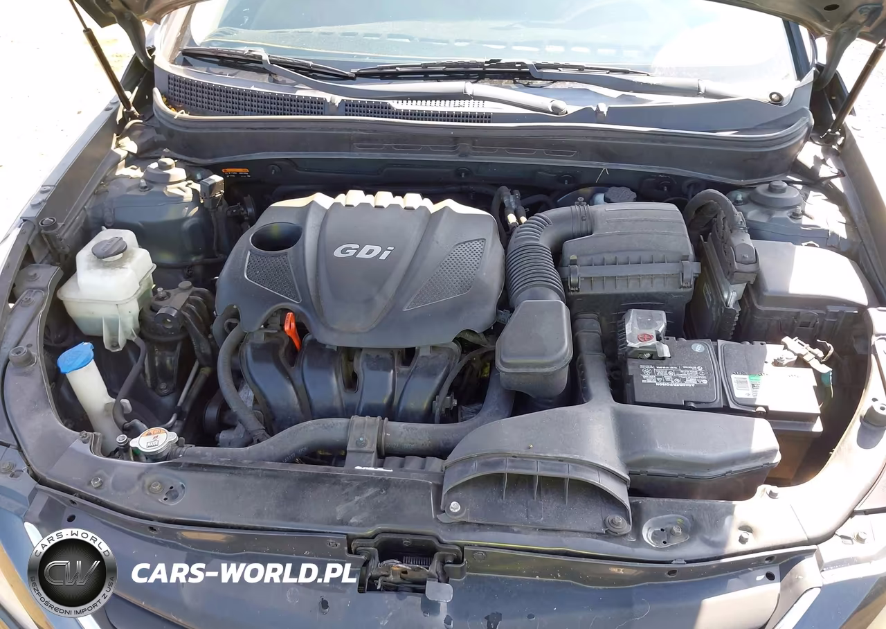 2014 Hyundai Sonata Gls VIN:5NPEB4AC6EH919365 - 10