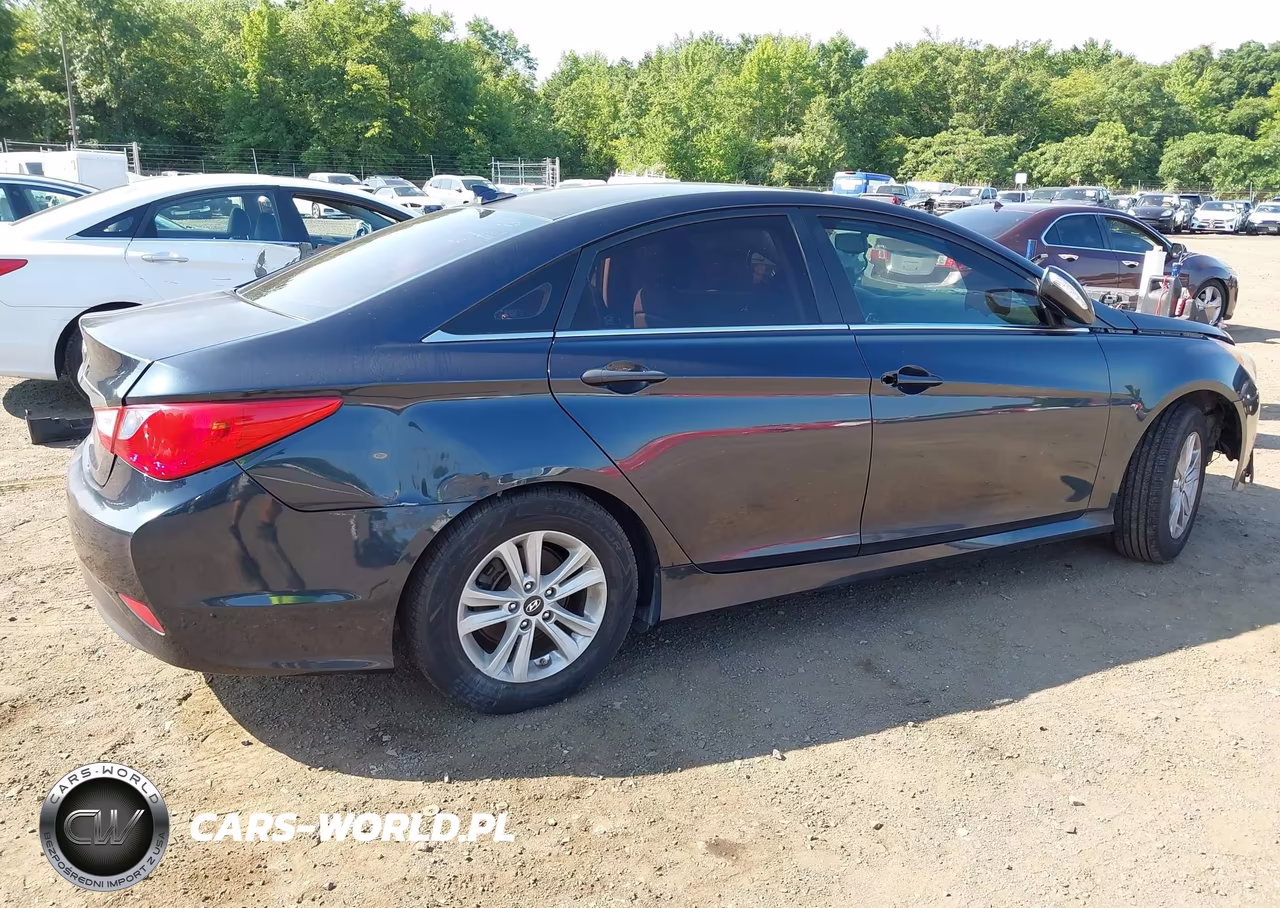 2014 Hyundai Sonata Gls VIN:5NPEB4AC6EH919365 - 13