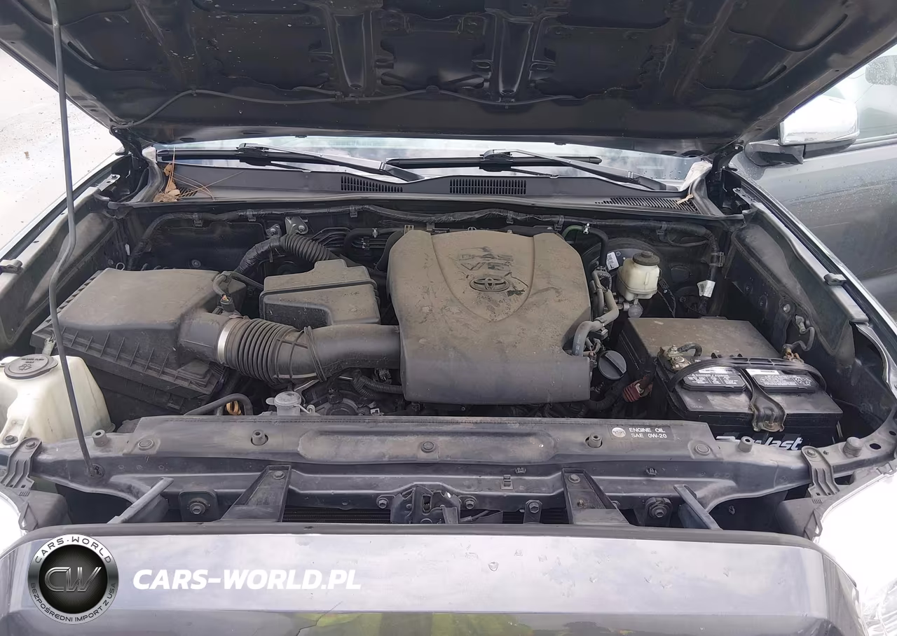 2019 Toyota Tacoma Limited VIN:3TMEZ5CN6KM093686 - 10