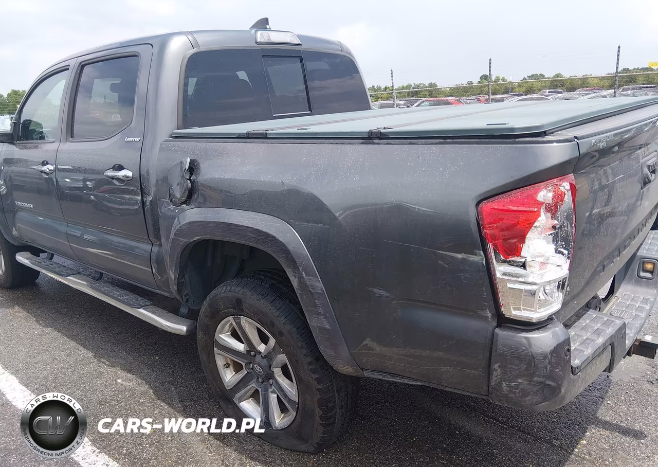 2019 Toyota Tacoma Limited VIN:3TMEZ5CN6KM093686 - 6