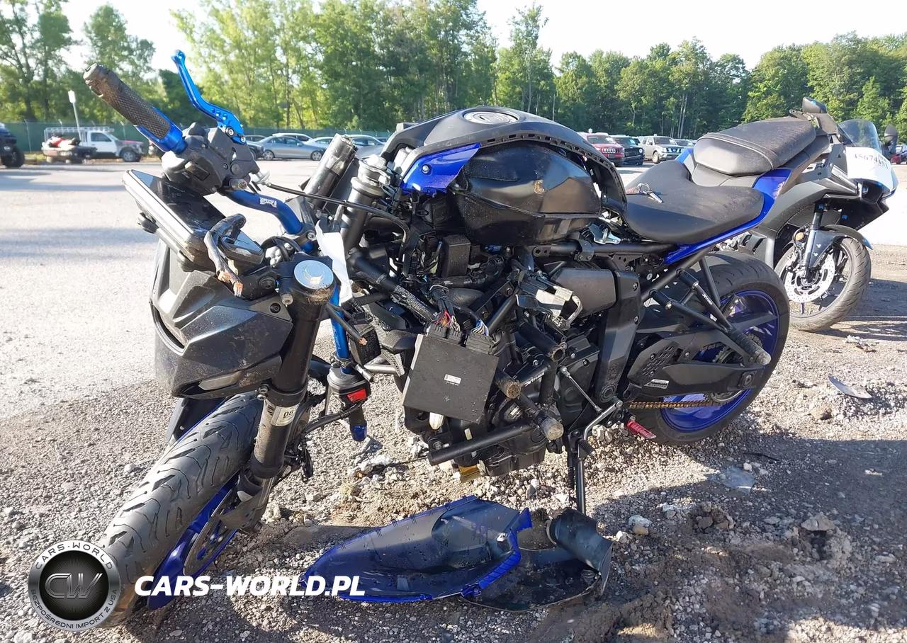 2025 Yamaha Mtn690 VIN:JYARM48EXSA001913 - 2