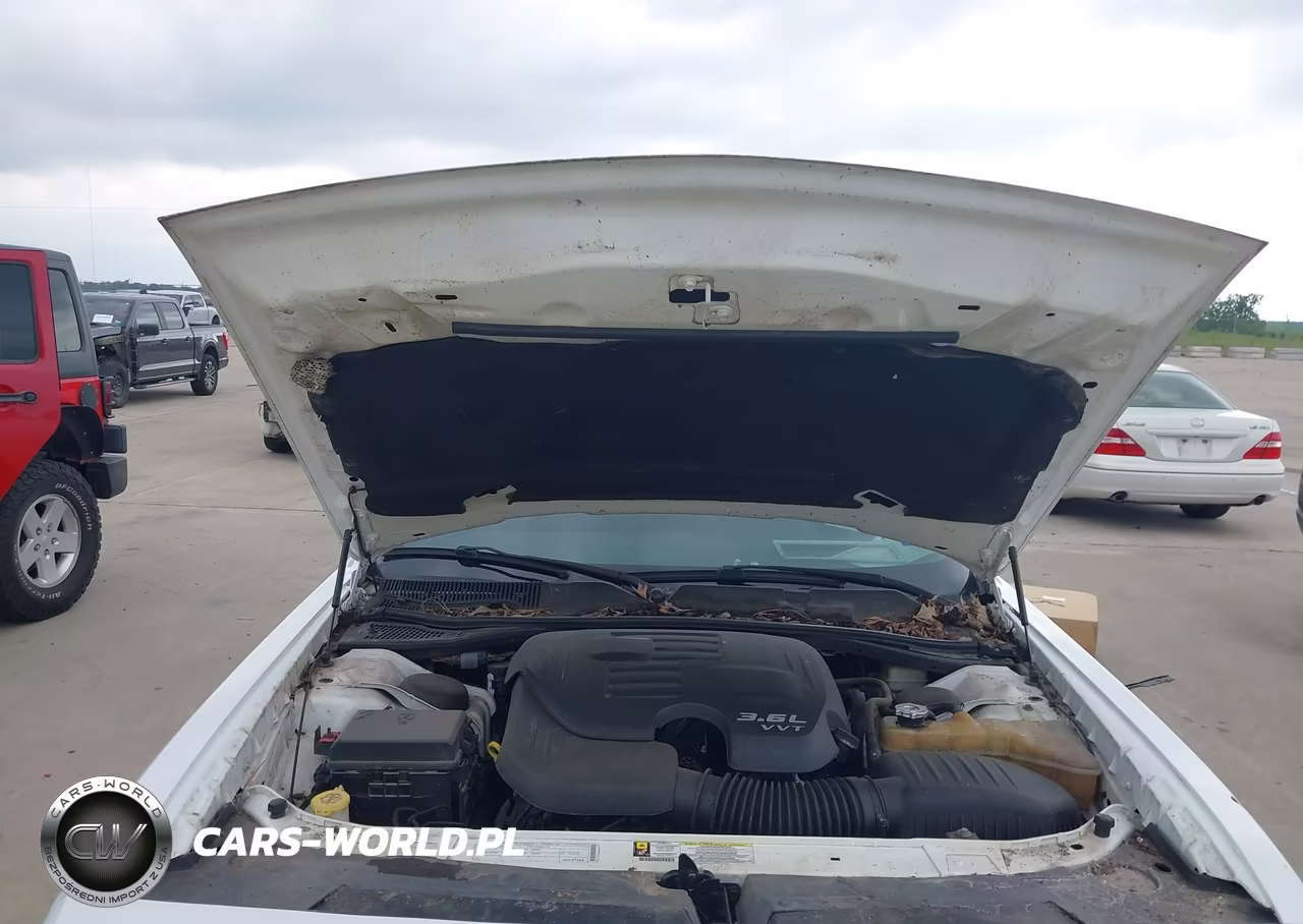 2014 Dodge Challenger Sxt VIN:2C3CDYAG5EH204313 - 10