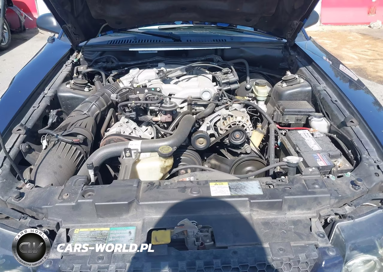 2003 Ford Mustang VIN:1FAFP40493F445196 - 10