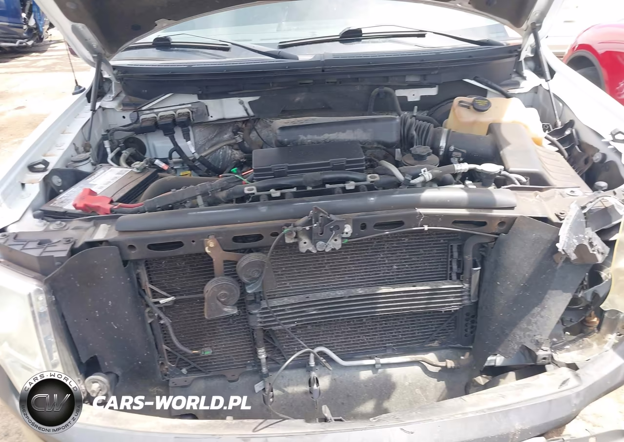 2010 Ford F-150 Stx-Xl-Xl W-Mid-Box Prep-Xlt-Xlt W-Mid-Box Prep VIN:1FTMF1CW1AKA26814 - 10