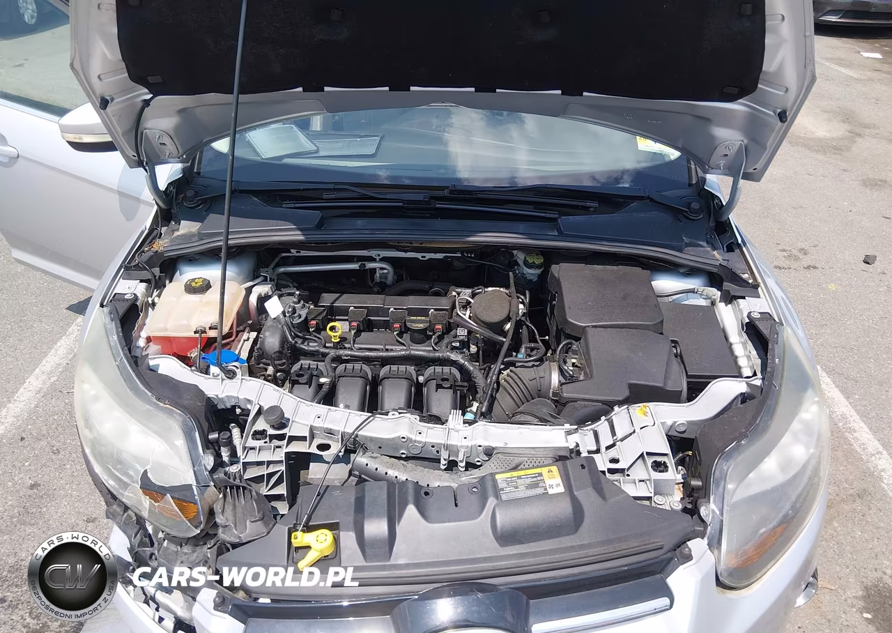 2014 Ford Focus Titanium VIN:1FADP3N26EL146830 - 10