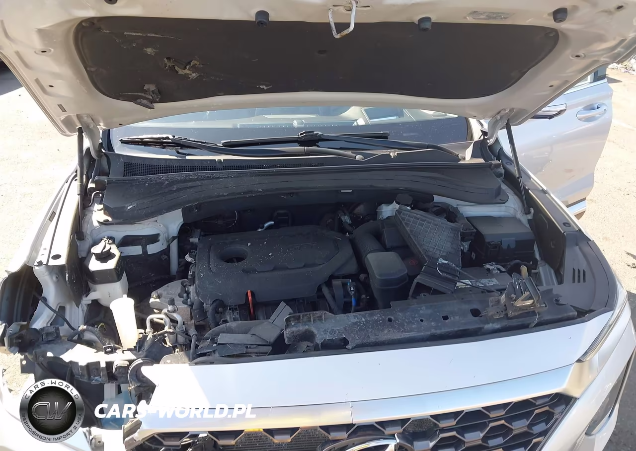 2019 Hyundai Santa Fe Ultimate VIN:5NMS5CAD6KH069551 - 10
