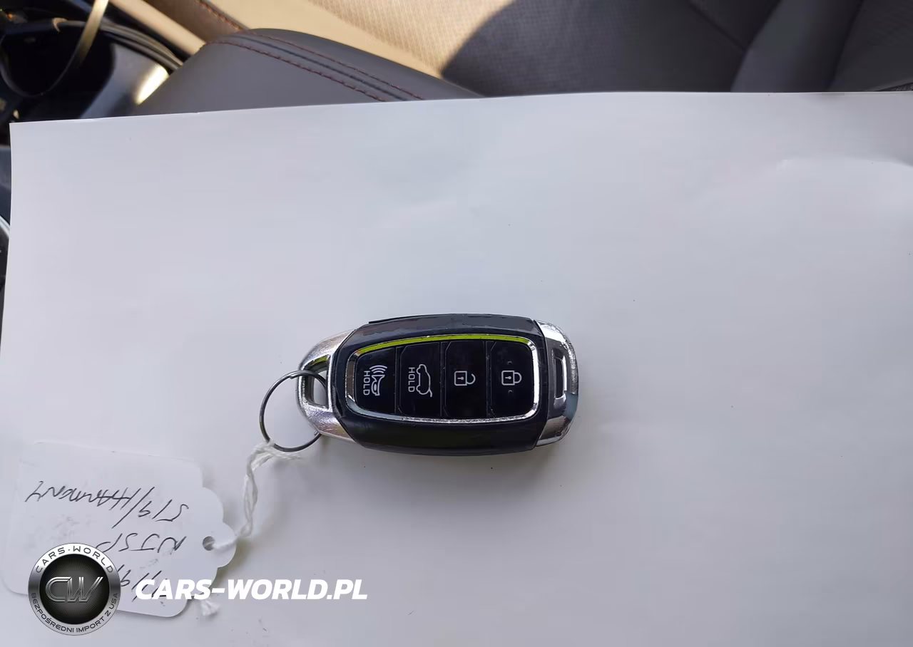 2019 Hyundai Santa Fe Ultimate VIN:5NMS5CAD6KH069551 - 11