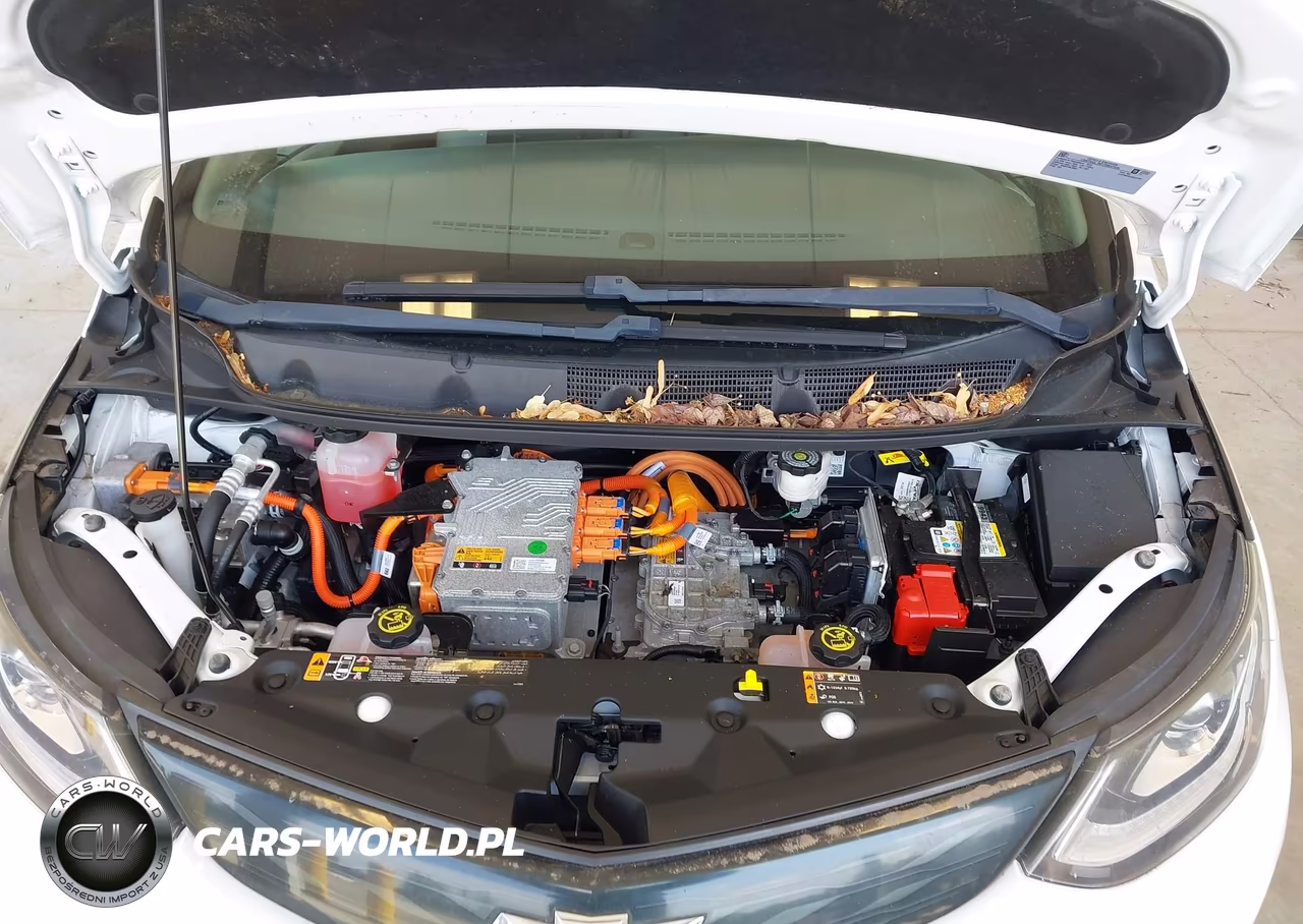 2018 Chevrolet Bolt Ev Lt VIN:1G1FW6S03J4137249 - 10
