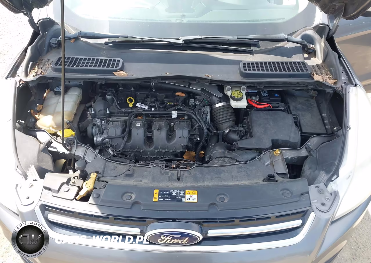 2013 Ford Escape Sel VIN:1FMCU9H97DUA94476 - 10
