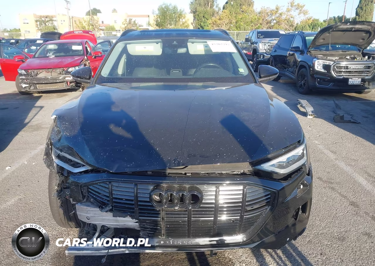 2021 Audi E-Tron Premium Quattro VIN:WA1AAAGE1MB010971 - 13