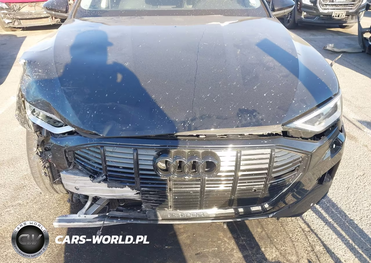 2021 Audi E-Tron Premium Quattro VIN:WA1AAAGE1MB010971 - 20