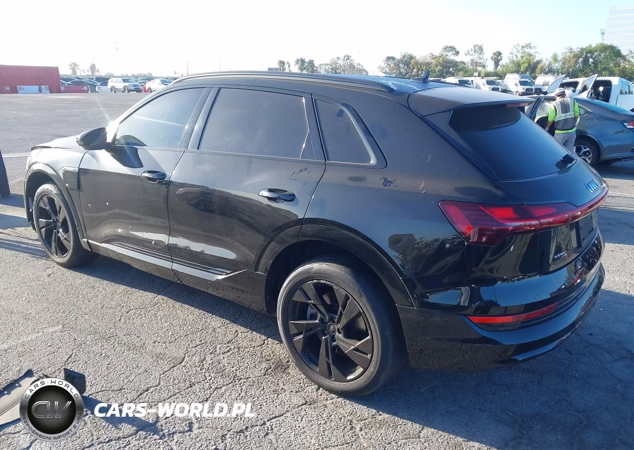 2021 Audi E-Tron Premium Quattro VIN:WA1AAAGE1MB010971 - 3