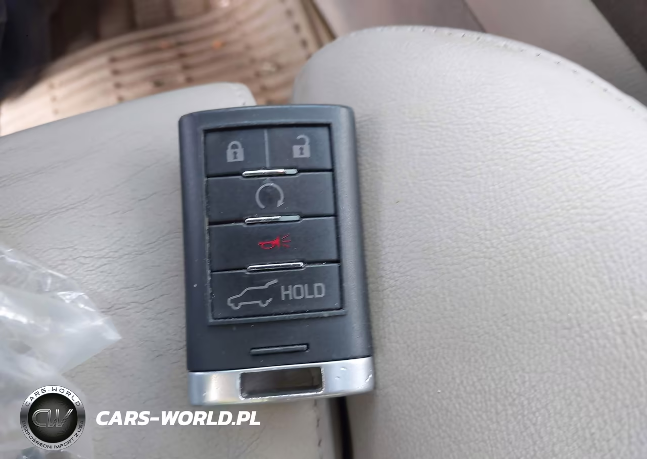 2010 Cadillac Srx Performance Collection VIN:3GYFNEEY4AS611340 - 11