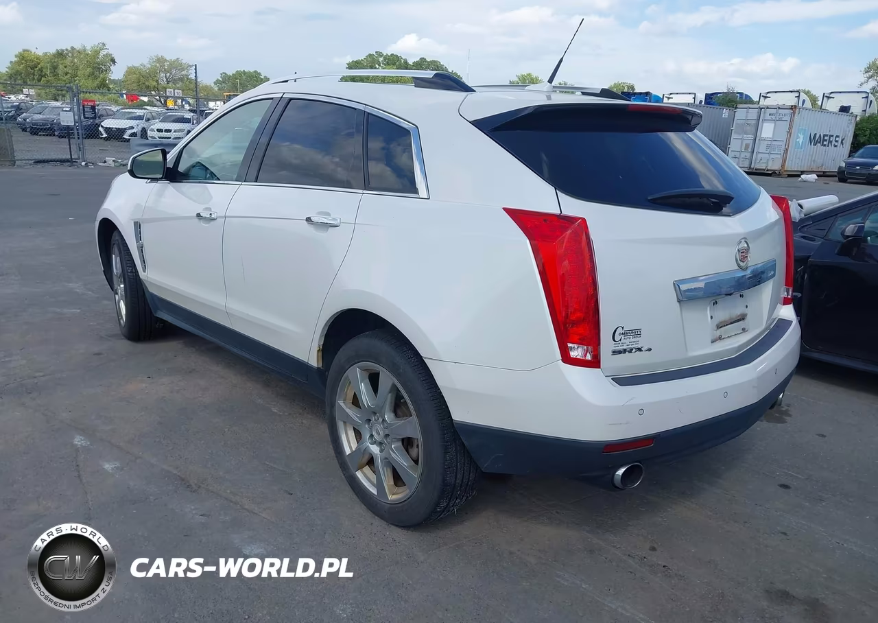 2010 Cadillac Srx Performance Collection VIN:3GYFNEEY4AS611340 - 3