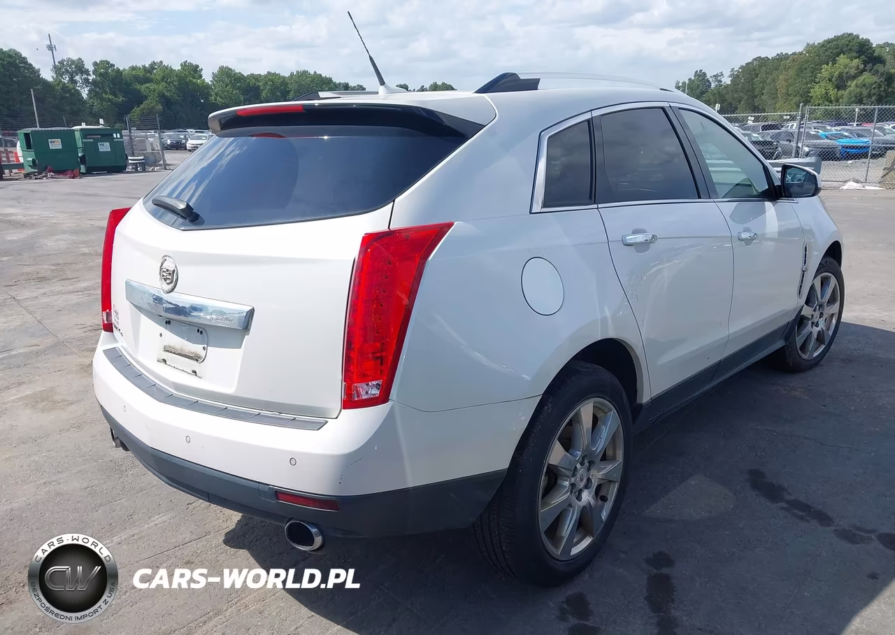 2010 Cadillac Srx Performance Collection VIN:3GYFNEEY4AS611340 - 4
