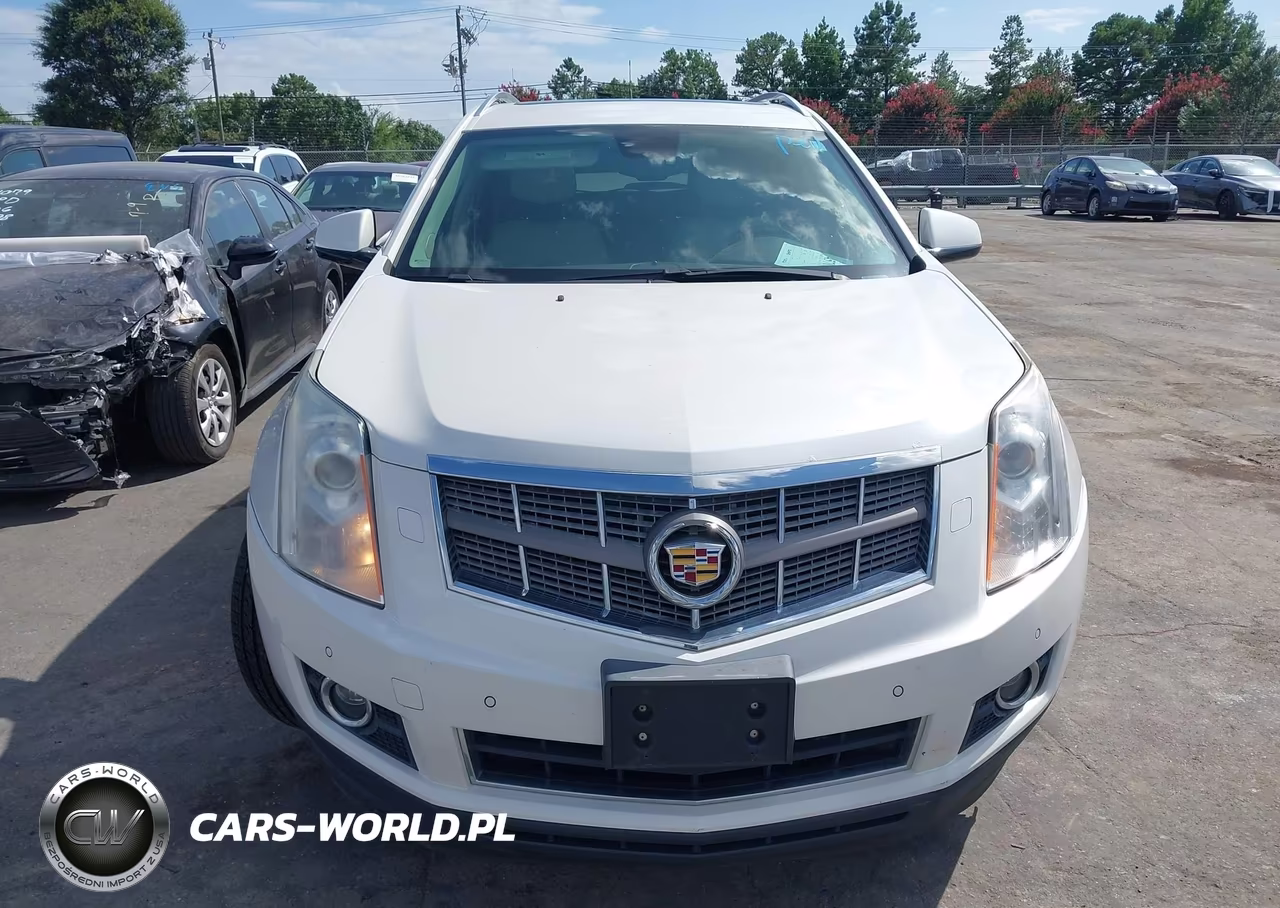 2010 Cadillac Srx Performance Collection VIN:3GYFNEEY4AS611340 - 6