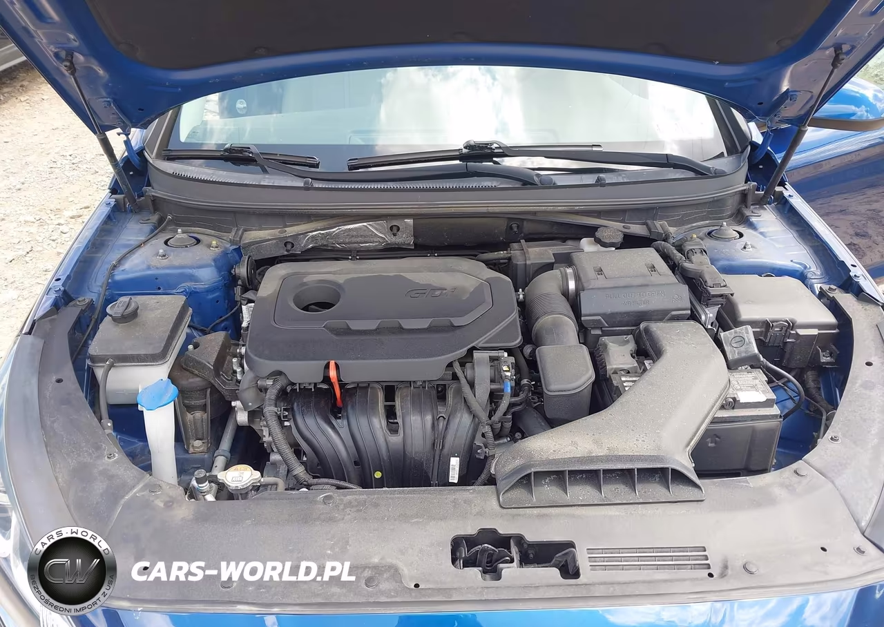 2019 Hyundai Sonata Se VIN:5NPE24AFXKH786681 - 10