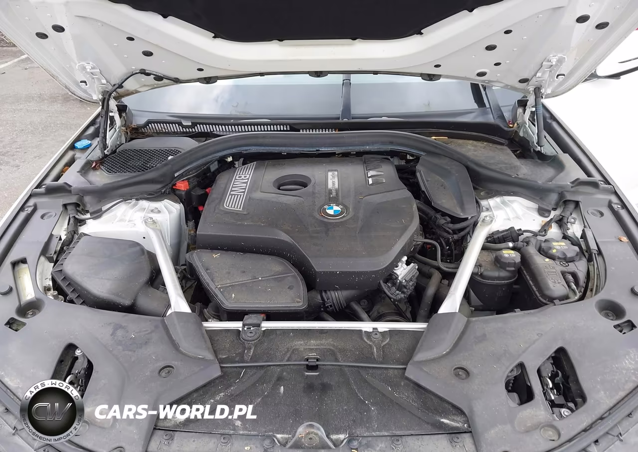 2019 BMW 5 Series 530I xDrive VIN:WBAJA7C53KWW13633 - 10