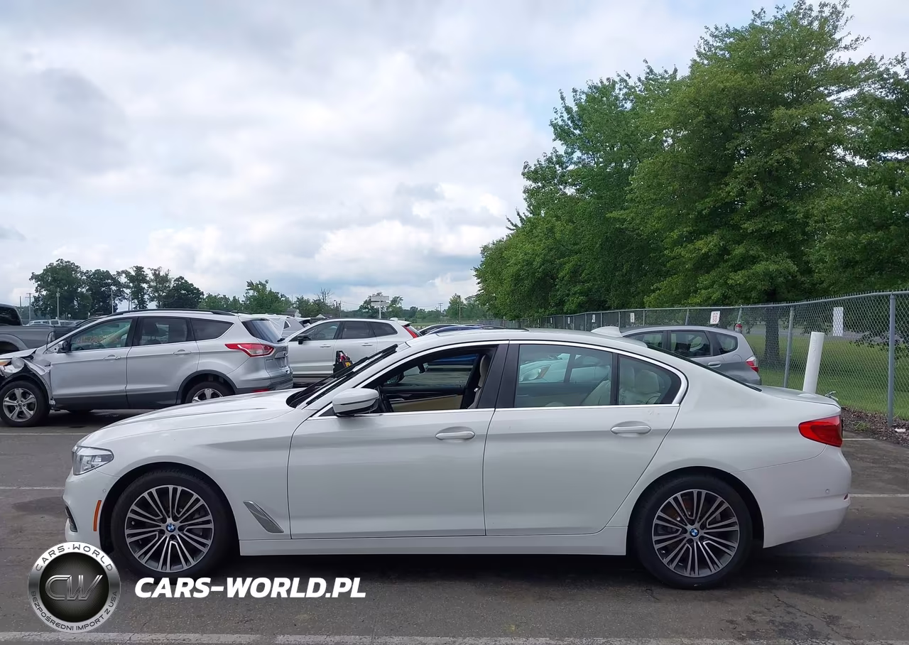 2019 BMW 5 Series 530I xDrive VIN:WBAJA7C53KWW13633 - 13