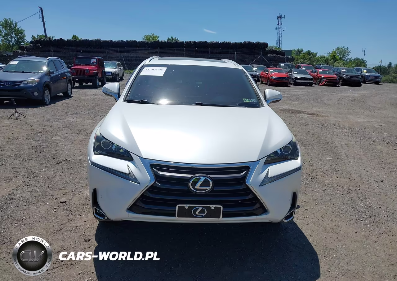 2016 Lexus Nx 200T VIN:JTJBARBZ4G2069971 - 12